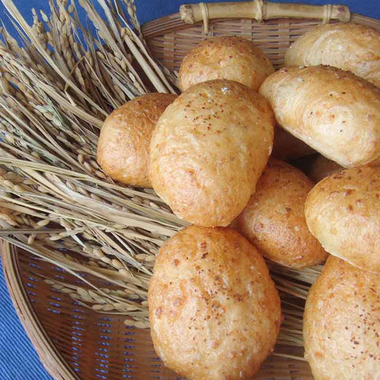 無添加 胚芽玄米パン 玄米コッペ(3個)