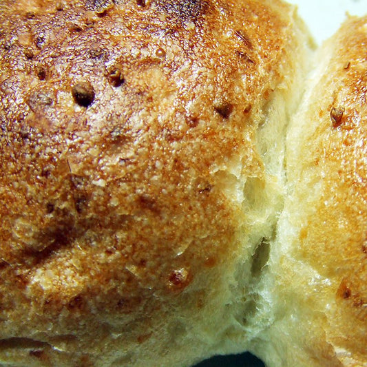 無添加 胚芽玄米パン 高槻コッペ