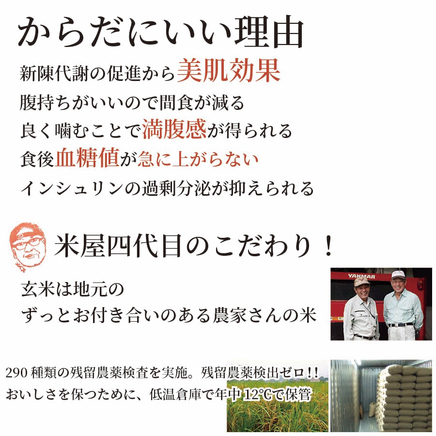 無添加 胚芽玄米パン 高槻コッペ