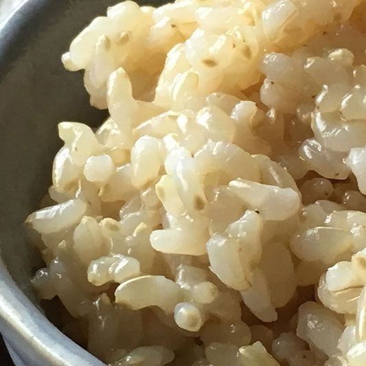 炊きたて玄米ごはん　秋刀魚干物　キュウリ奈良漬　味噌汁