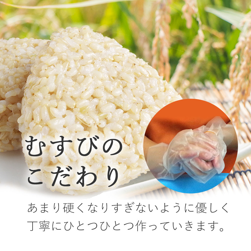 【送料無料】玄米おむすび　お試し20個セット　